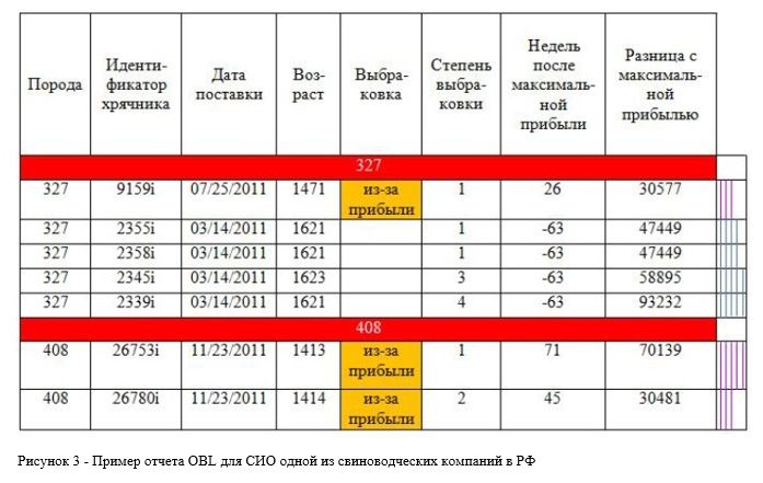 Показатели свиноводческой компании