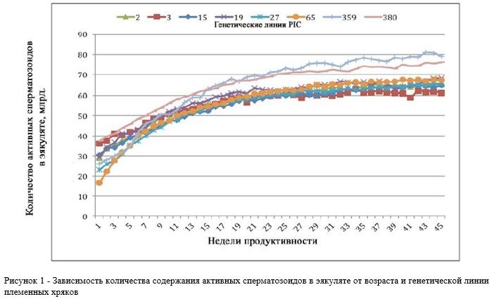 Содержание активных сперматозоидов в эякуляте