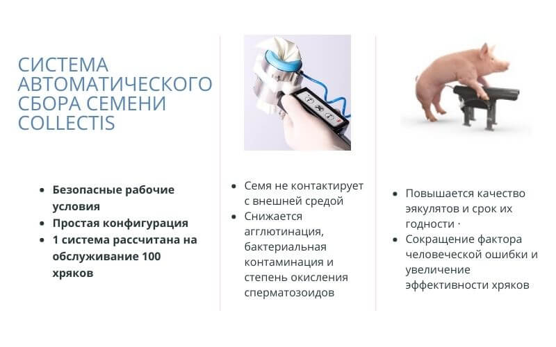Система автоматического сбора семени Collectis Система автоматического сбора семени Collectis